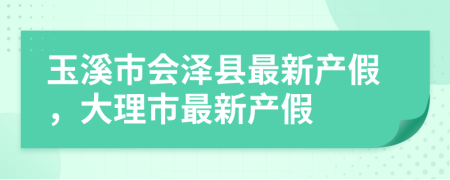 玉溪市会泽县最新产假，大理市最新产假