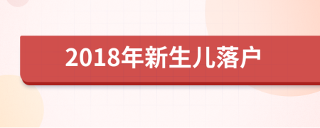 2018年新生儿落户