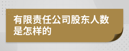 有限责任公司股东人数是怎样的