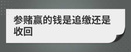 参赌赢的钱是追缴还是收回