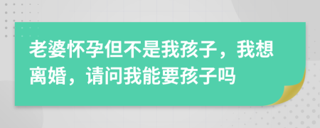 老婆怀孕但不是我孩子，我想离婚，请问我能要孩子吗