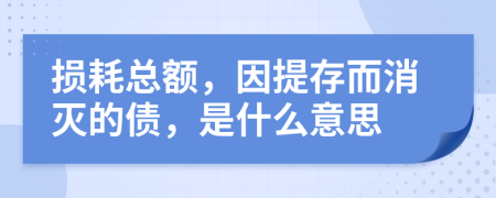 损耗总额，因提存而消灭的债，是什么意思
