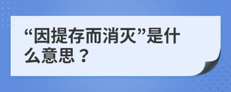 “因提存而消灭”是什么意思？