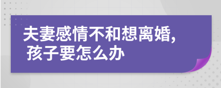 夫妻感情不和想离婚, 孩子要怎么办