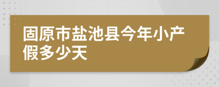 固原市盐池县今年小产假多少天