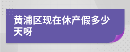 黄浦区现在休产假多少天呀