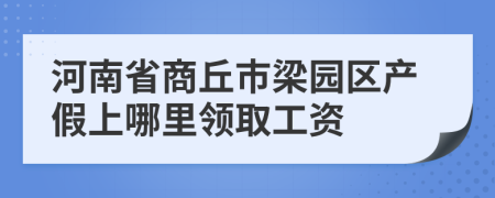 河南省商丘市梁园区产假上哪里领取工资