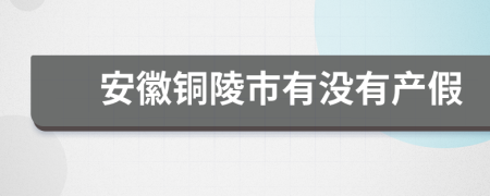 安徽铜陵市有没有产假