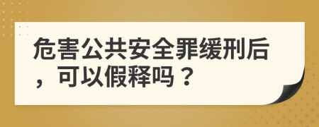 危害公共安全罪缓刑后，可以假释吗？