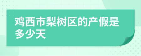 鸡西市梨树区的产假是多少天