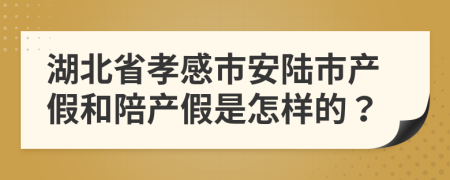 湖北省孝感市安陆市产假和陪产假是怎样的？