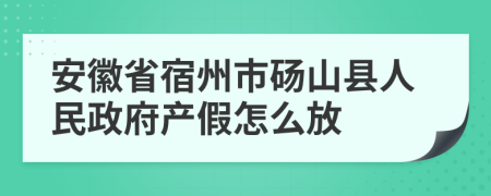 安徽省宿州市砀山县人民政府产假怎么放