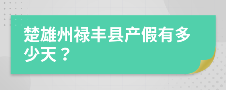 楚雄州禄丰县产假有多少天？
