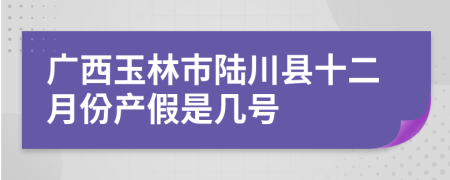 广西玉林市陆川县十二月份产假是几号