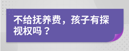 不给抚养费，孩子有探视权吗？