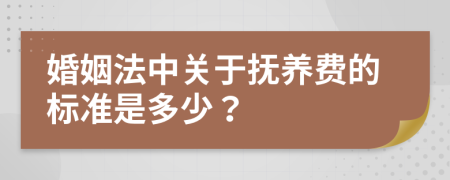 婚姻法中关于抚养费的标准是多少？