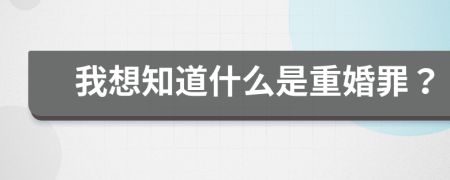 我想知道什么是重婚罪？