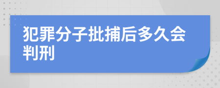 犯罪分子批捕后多久会判刑