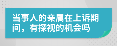 当事人的亲属在上诉期间，有探视的机会吗