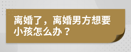 离婚了，离婚男方想要小孩怎么办？