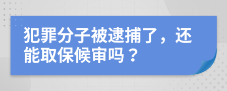 犯罪分子被逮捕了，还能取保候审吗？