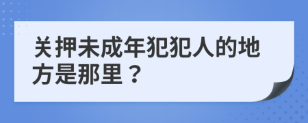 关押未成年犯犯人的地方是那里？