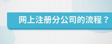 网上注册分公司的流程？