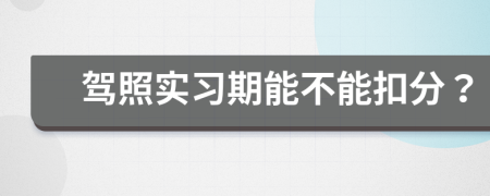 驾照实习期能不能扣分？