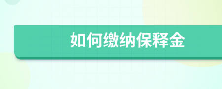 如何缴纳保释金