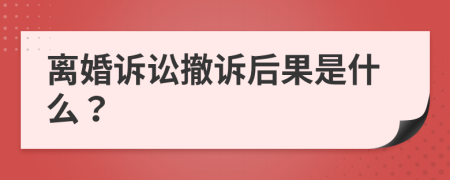 离婚诉讼撤诉后果是什么？