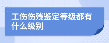 工伤伤残鉴定等级都有什么级别