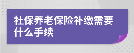 社保养老保险补缴需要什么手续