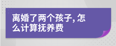 离婚了两个孩子, 怎么计算抚养费