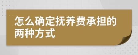 怎么确定抚养费承担的两种方式