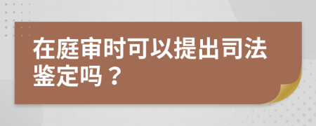 在庭审时可以提出司法鉴定吗？