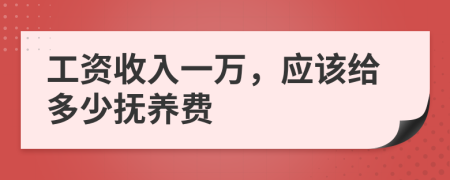 工资收入一万，应该给多少抚养费