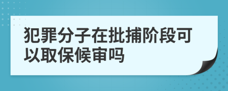 犯罪分子在批捕阶段可以取保候审吗