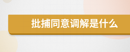 批捕同意调解是什么