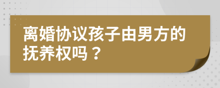 离婚协议孩子由男方的抚养权吗？