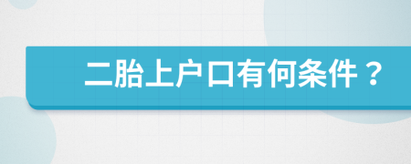 二胎上户口有何条件？