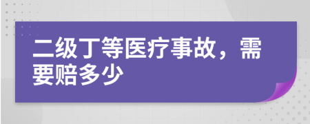 二级丁等医疗事故，需要赔多少