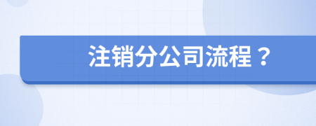 注销分公司流程？