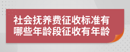 社会抚养费征收标准有哪些年龄段征收有年龄