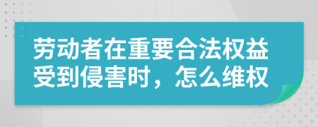 劳动者在重要合法权益受到侵害时，怎么维权