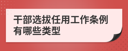 干部选拔任用工作条例有哪些类型