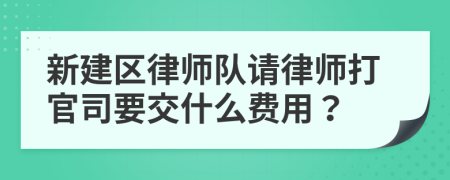 新建区律师队请律师打官司要交什么费用？