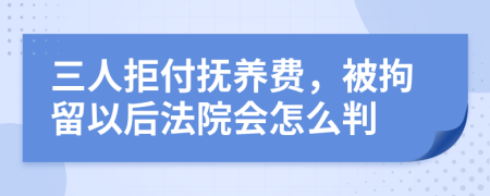 三人拒付抚养费，被拘留以后法院会怎么判