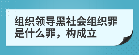 组织领导黑社会组织罪是什么罪，构成立