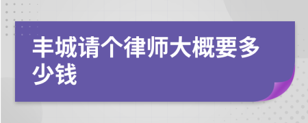 丰城请个律师大概要多少钱