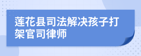 莲花县司法解决孩子打架官司律师